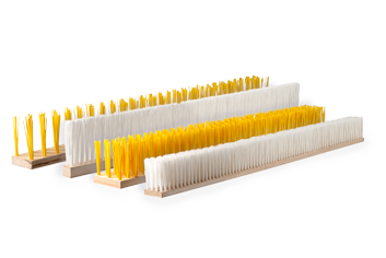 Group photo of yellows and white brush rats