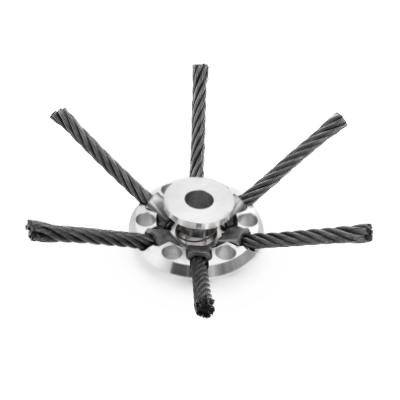Bosmaaierborstels Ecobrush